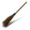 broom_metla.jpg